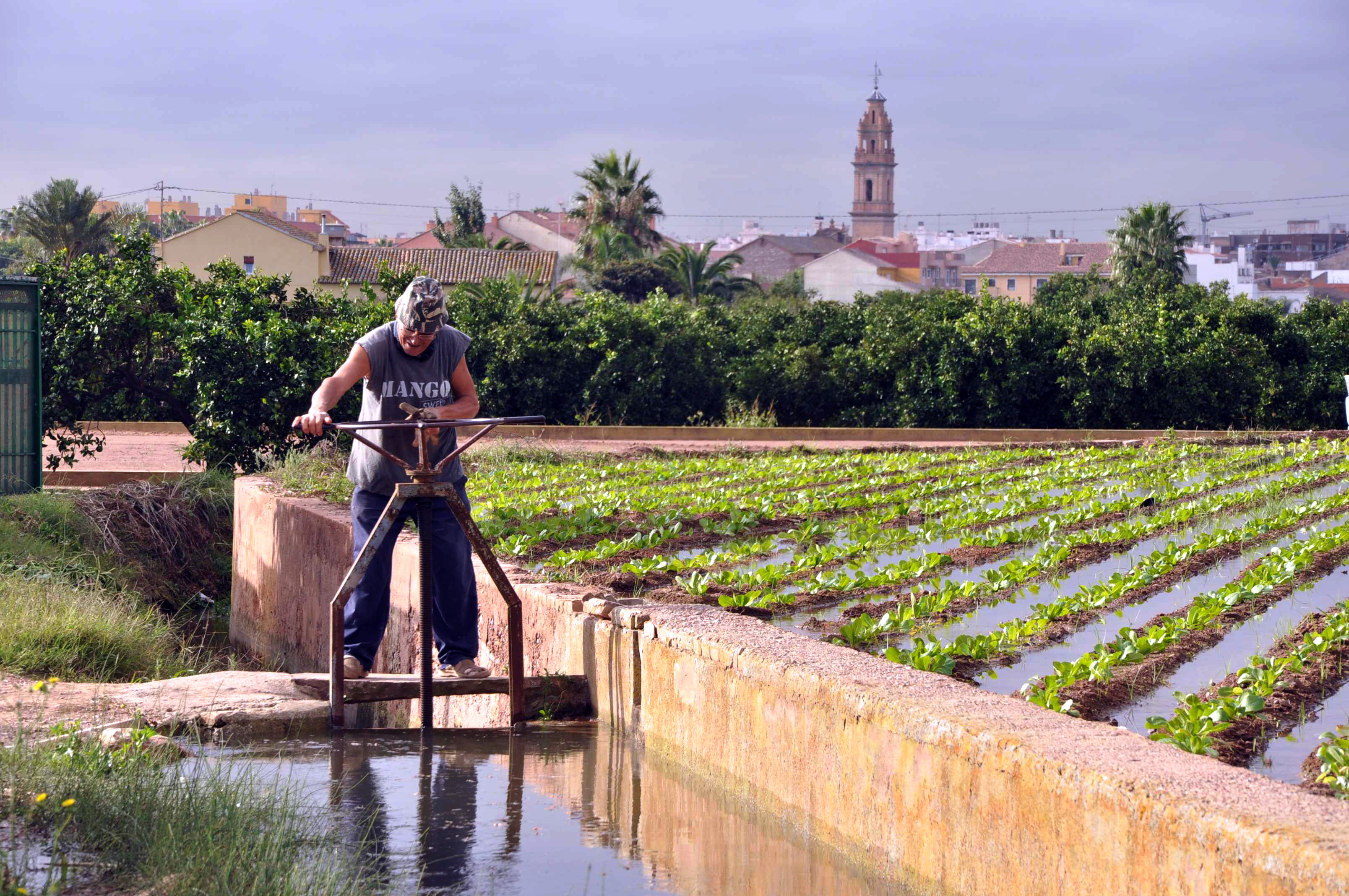 Resultado de imagen de acequia